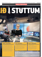Síða 11