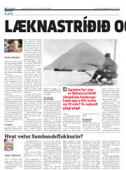Síða 14