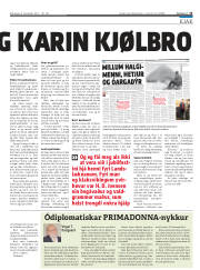 Síða 15