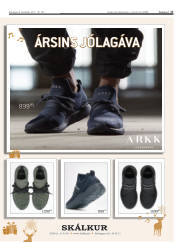 Síða 17