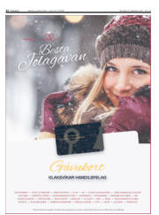 Síða 22