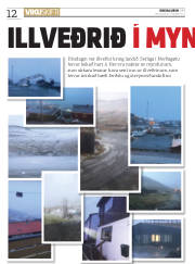 Síða 12