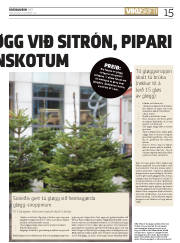 Síða 15