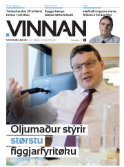 Síða 29