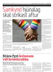 Síða 7