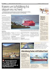 Síða 8