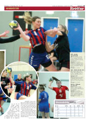 Síða 15