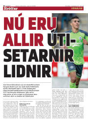 Síða 20