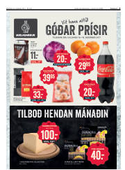 Síða 3