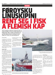 Síða 6