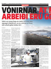 Síða 8