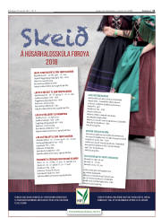 Síða 11