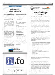 Síða 19