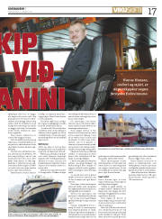 Síða 17