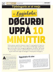Síða 20