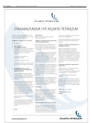 Síða 3