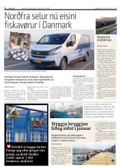 Síða 8