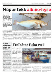 Síða 13