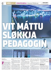 Síða 6