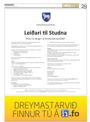 Síða 29