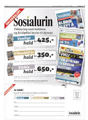 Síða 3