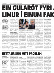 Síða 6