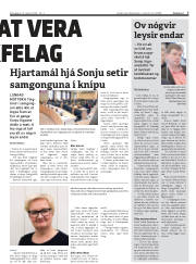 Síða 7