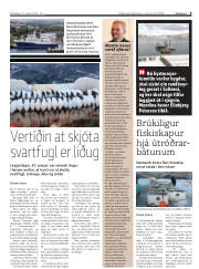 Síða 9