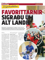 Síða 20