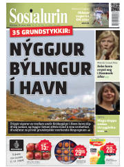 Síða 1