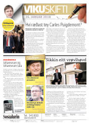 Síða 2