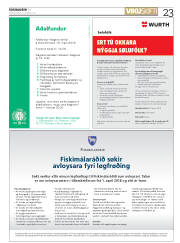 Síða 23