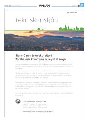 Síða 43