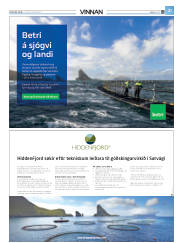 Síða 45