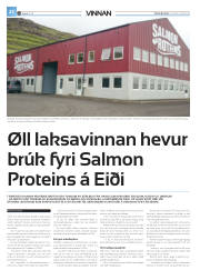 Síða 46