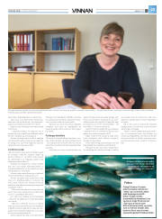 Síða 47