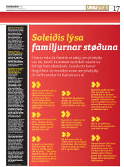 Síða 17