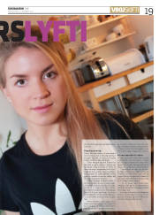 Síða 19