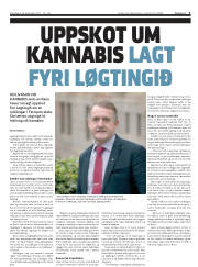 Síða 3