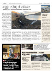 Síða 8