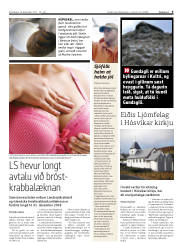 Síða 9