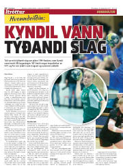 Síða 14