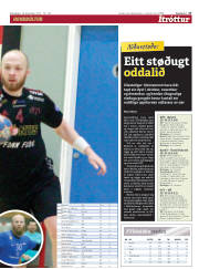 Síða 17