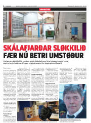 Síða 8
