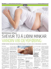 Síða 12