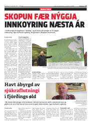 Síða 17