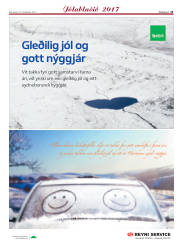 Síða 45