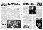 Síða 3