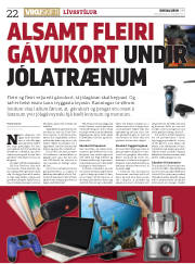 Síða 22