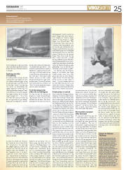 Síða 25
